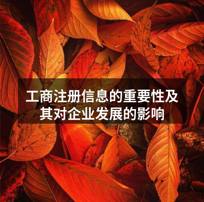 工商注册信息的重要性及其对企业发展的影响