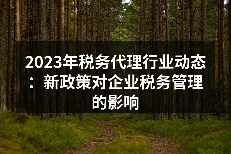 2023年税务代理行业动态：新政策对企业税务管理的影响