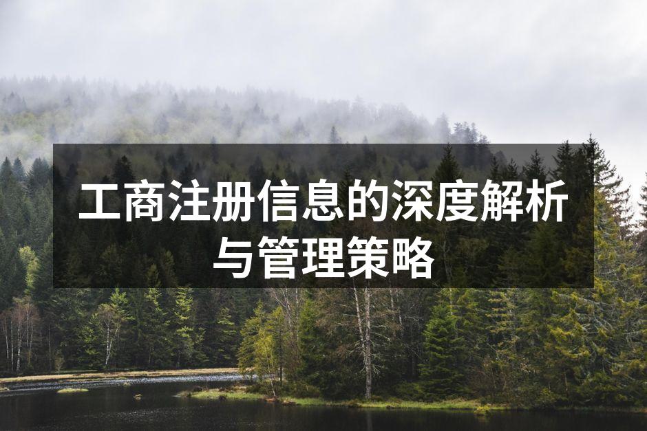工商注册信息的深度解析与管理策略