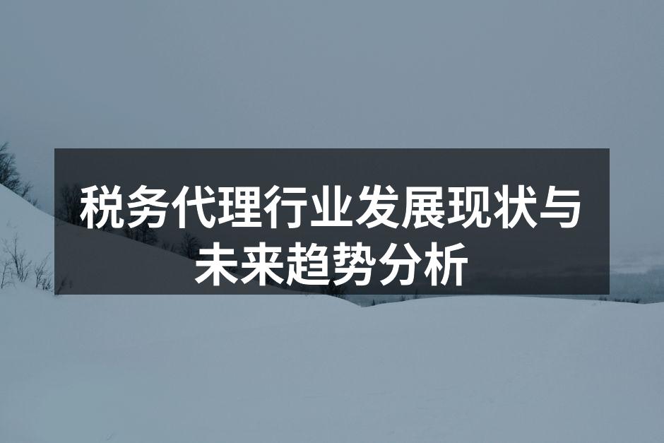 税务代理行业发展现状与未来趋势分析