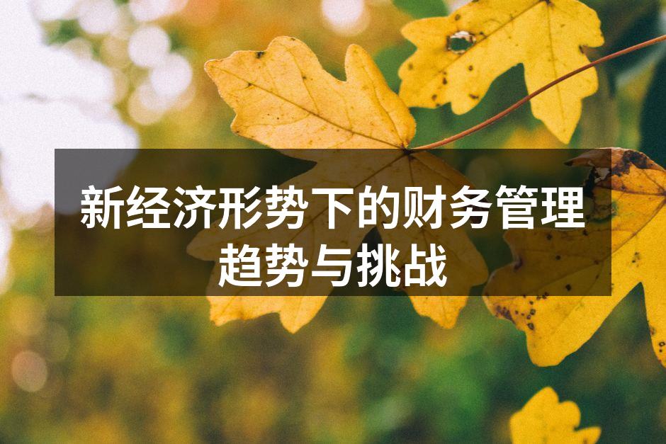 新经济形势下的财务管理趋势与挑战